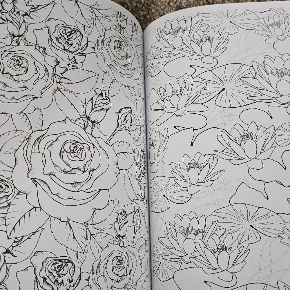 Coloring Book - Picture 2 of 4